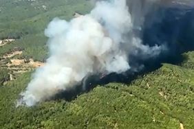MUĞLA'DA EŞ ZAMANLI ORMAN YANGINI