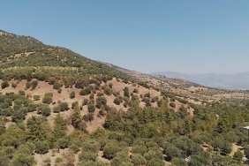 AYDIN'DA PATLAMA PANİĞİ