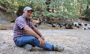 KEÇİLERİN HAREKETLERİNİ İZLEYE İZLEYE METEOROLOJİ UZMANI OLDU AYDINLI ÇOBAN, HAVA DURUMUNU METEOROLOJİDEN DEĞİL KEÇİLERDEN ÖĞRENİYOR