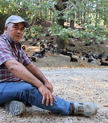 KEÇİLERİN HAREKETLERİNİ İZLEYE İZLEYE METEOROLOJİ UZMANI OLDU AYDINLI ÇOBAN, HAVA DURUMUNU METEOROLOJİDEN DEĞİL KEÇİLERDEN ÖĞRENİYOR