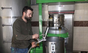 AYDIN'DA ZEYTİNİN YAĞA DÖNÜŞÜM YOLCULUĞU BAŞLADI ZEYTİN SEZONU İLE BİRLİKTE YAĞHANELERDE DE YOĞUNLUK BAŞLADI