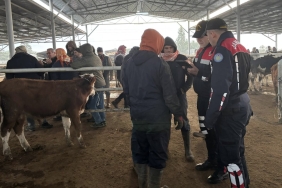 Hayvan Pazarı Çine (2)