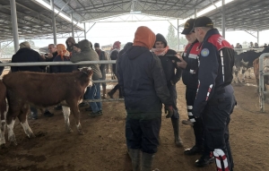 Hayvan Pazarı Çine (2)