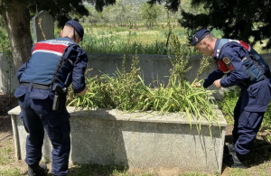 Şehitlik Ziyareti-1
