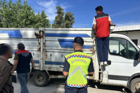 trafik-Tarım-Hayvan Denetimi-4