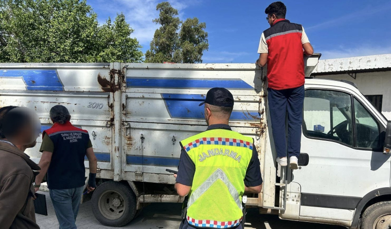 Eksik evrakla canlı hayvan taşıyan 2 kişi cezadan kaçamadı