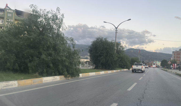 Refüjdeki ağaçlar tehlike saçıyor