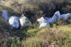 ÇALDIKLARI ÇAM FISTIKLARINI OTLARIN ARASINA SAKLADILAR