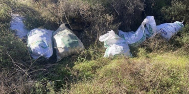 ÇALDIKLARI ÇAM FISTIKLARINI OTLARIN ARASINA SAKLADILAR