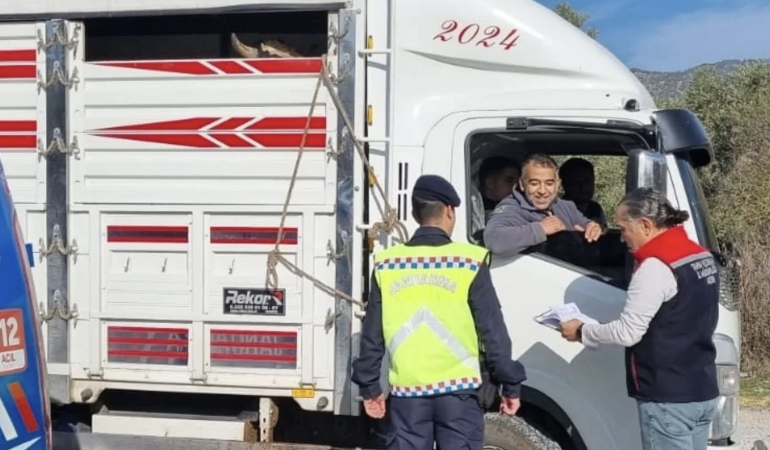 Karpuzlu’da hayvan sevkiyatına denetim