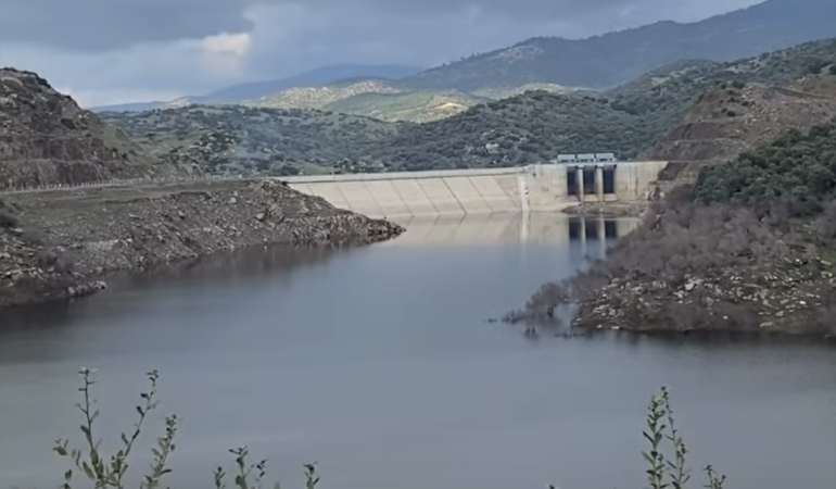 Çine’de etkili olan yağmur çiftçinin yüzünü güldürdü